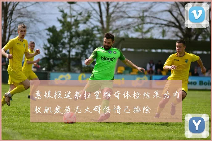 意媒报道弗拉霍维奇体检结果为内收肌疲劳无大碍伤情已排除